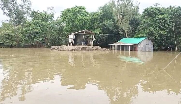 Rowmari Phoro (2) 03 07 2024